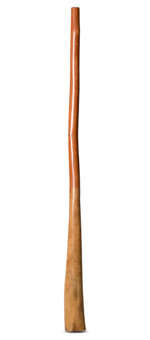 CrookedStixz Didgeridoo (AH365)